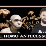 ¿Cómo era el entorno de Atapuerca en la prehistoria?
