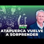 ¿Qué especies humanas se han identificado en Atapuerca?