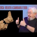 ¿Se han encontrado restos de otros homínidos en Atapuerca?