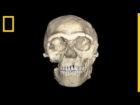 ¿Cuántos fósiles humanos se han encontrado en Atapuerca?