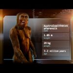 ¿Cómo ha influido Atapuerca en la comprensión de la evolución humana?